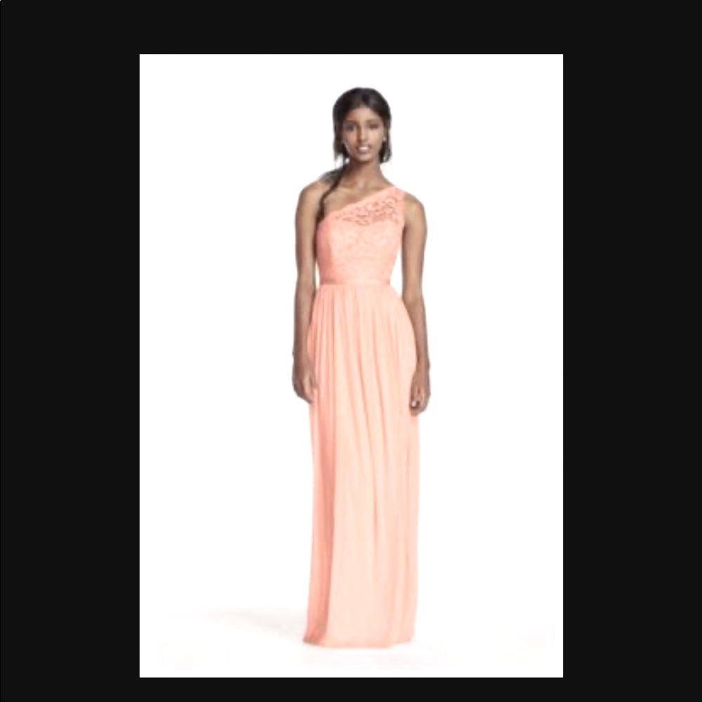 David's Bridal Dress Bellini